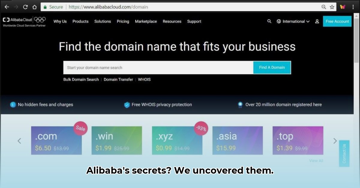alibaba-whois